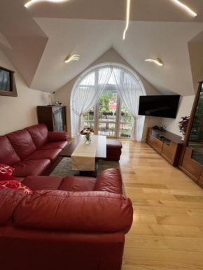 Apartament w centrum Premium